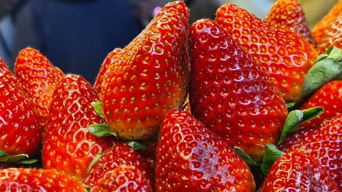 Mit diesem simplen Hausmittel schimmeln Erdbeeren nicht mehr