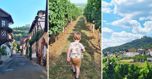 9 Gründe, warum ich euch einen Familienurlaub in der Pfalz empfehle