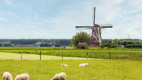 Holland und Niederlande – Was ist der Unterschied?
