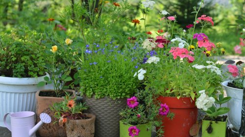 Diese 8 trendigen Pflanzkübel von Amazon sind echte Hingucker in eurem Garten