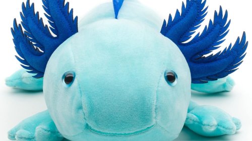 Spielzeugtrend Axolotl: 5 niedliche Wesen, die jetzt alle Kinder begeistern