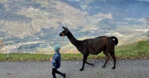 Südtirol mit Kindern: 9 Highlights für Familien