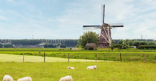 Holland und Niederlande – Was ist der Unterschied?