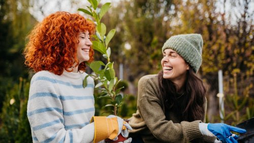 Diese 7 Jobs im Garten machen jetzt im März richtig gute Laune