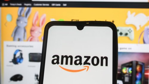 Keine Lust auf Insekten im Wohnzimmer? Schnapp dir das Fliegengitter von Amazon