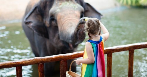 Das sind die 5 besten deutschen Zoos für Familien