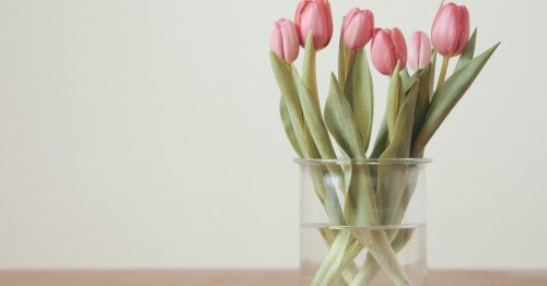 Simpel und genial: Dieser einfache Trick hält Tulpen länger frisch