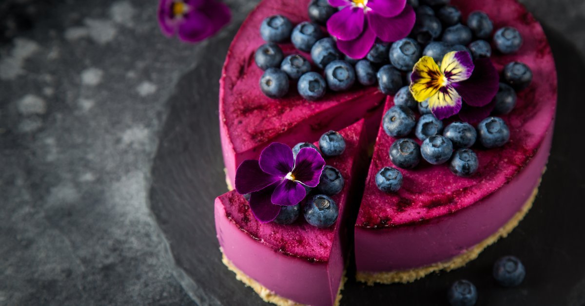 Ohne Backen: Diesen veganen Blaubeer-Käsekuchen müsst ihr probieren!
