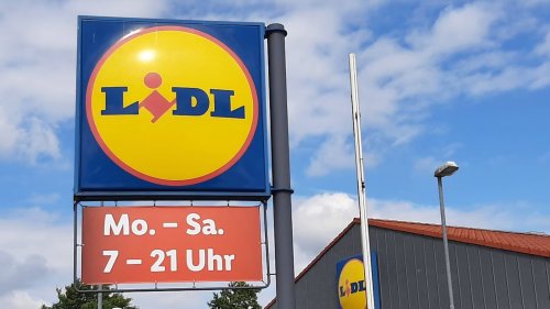Die perfekte Transportkarre für Heimwerker*innen - Jetzt bei Lidl erhältlich