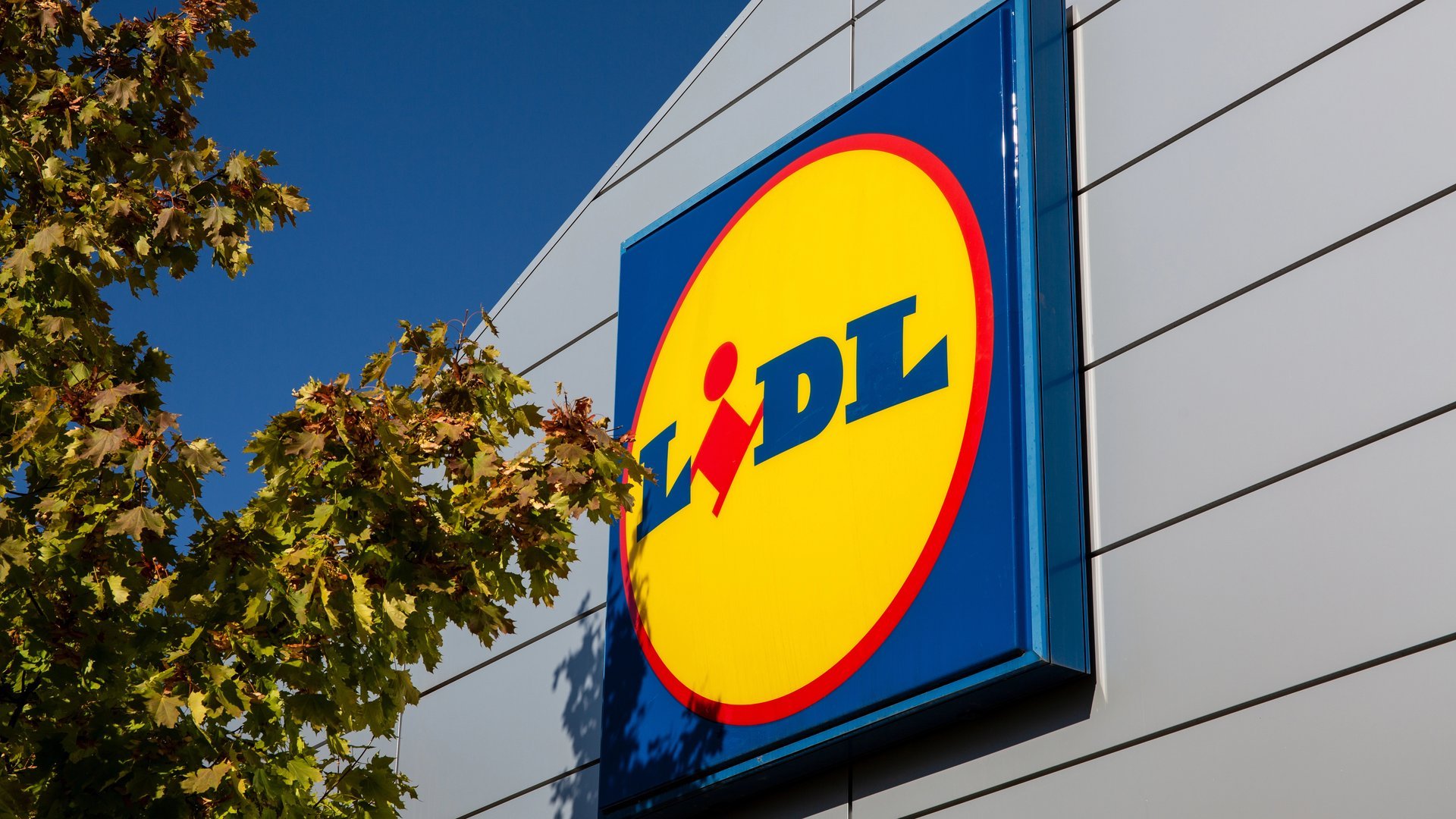 Bei Lidl zugreifen: Das Steingut-Geschirr mit außergewöhnlichem Design wollen jetzt alle