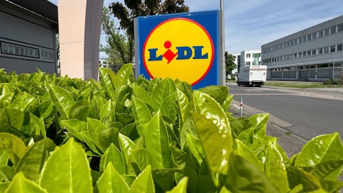 DIY leicht gemacht: Schnapp dir die praktische Aluminium-Arbeitsplattform von Lidl