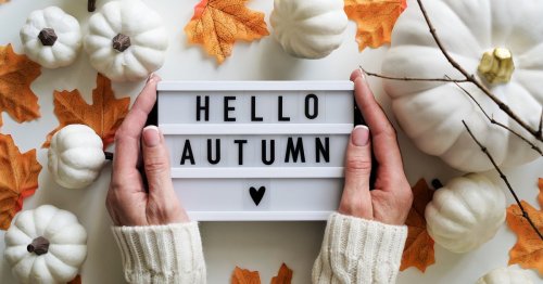 Hello Herbst: 13 Amazon-Produkte, die du jetzt unbedingt brauchst