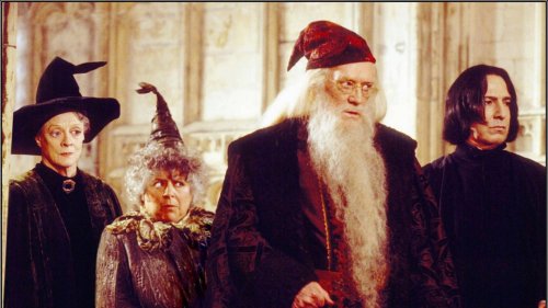 Welcher "Harry Potter"-Lehrer wärst du?