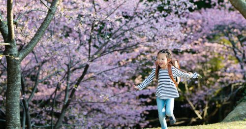 Einschulungsgeschenke: Die 17 besten Geschenke zum Schulstart | familie.de
