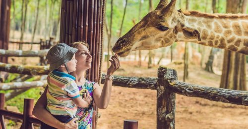 Unbedingt besuchen: Die 5 familienfreundlichsten Zoos in ganz Deutschland | familie.de