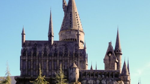 Der blaue Softshellmantel von Tchibo: Hermine Granger würde diesen Mantel lieben