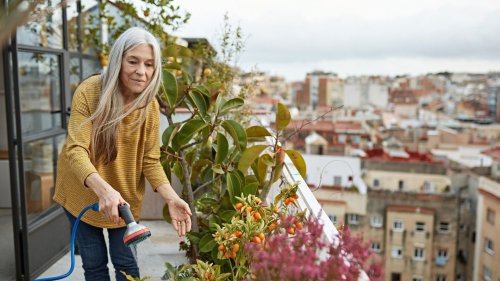 Kleine Fläche, große Ideen: Die besten Amazon-Produkte für Urban Gardening