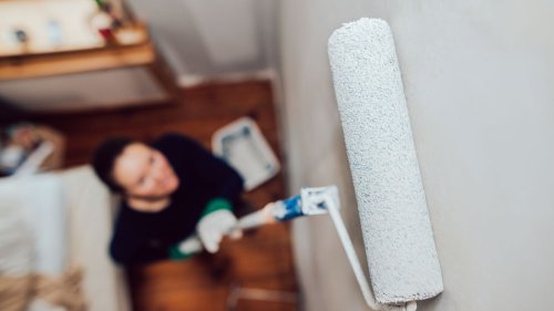 Anti-Schimmel-Farbe Testsieger: 5 wirksame Produkte ohne Biozide