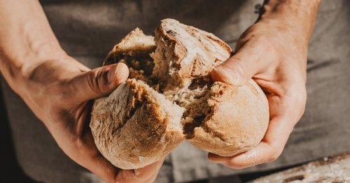 Brotbackautomat-Test: Diese Geräte sind empfehlenswert