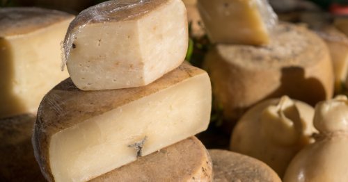 Vorsicht: Dieser traditionelle Käse lebt und wurde in der EU verboten