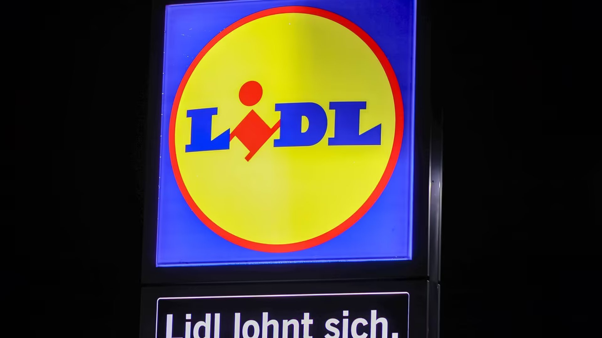 Gassi bei wechselhaftem Frühlingswetter: Der reflektierende Hundemantel von Lidl ist ein Muss