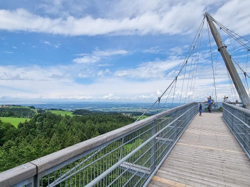 Skywalk Allgäu: Erlebt den Naturerlebnispark in Scheidegg