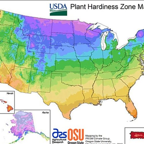 Your Plant Hardiness Zones Might Have Shifted