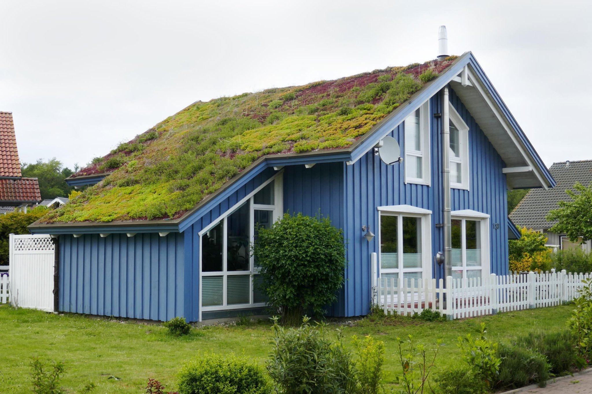 What Is a Green Roof?
