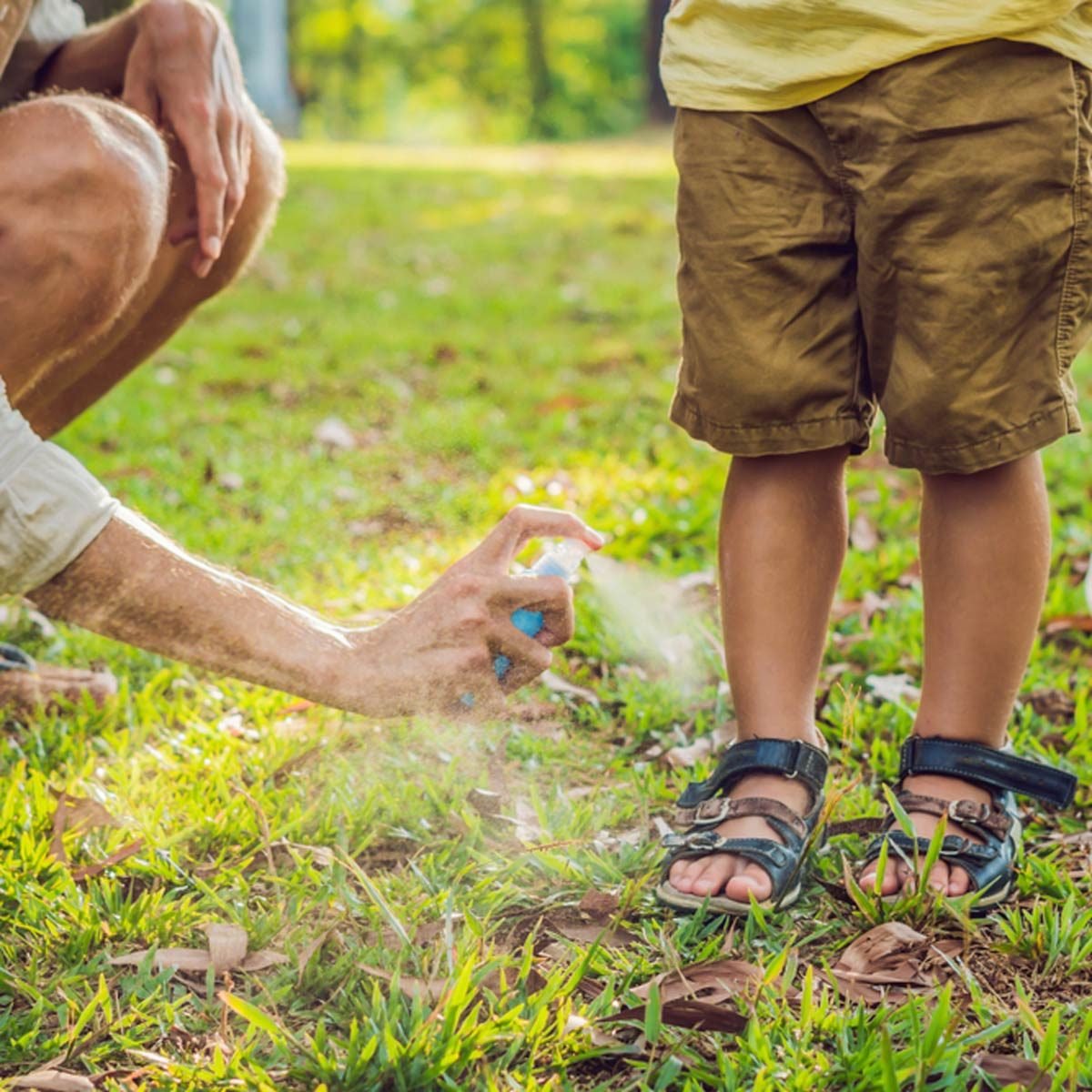 How To Beat Summer's Most Annoying Outdoor Pests