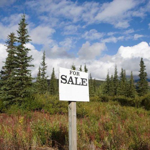 How To Buy Land A Step by Step Guide Flipboard