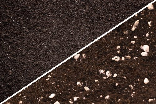 Garden Soil vs Potting Soil: What's the Difference?