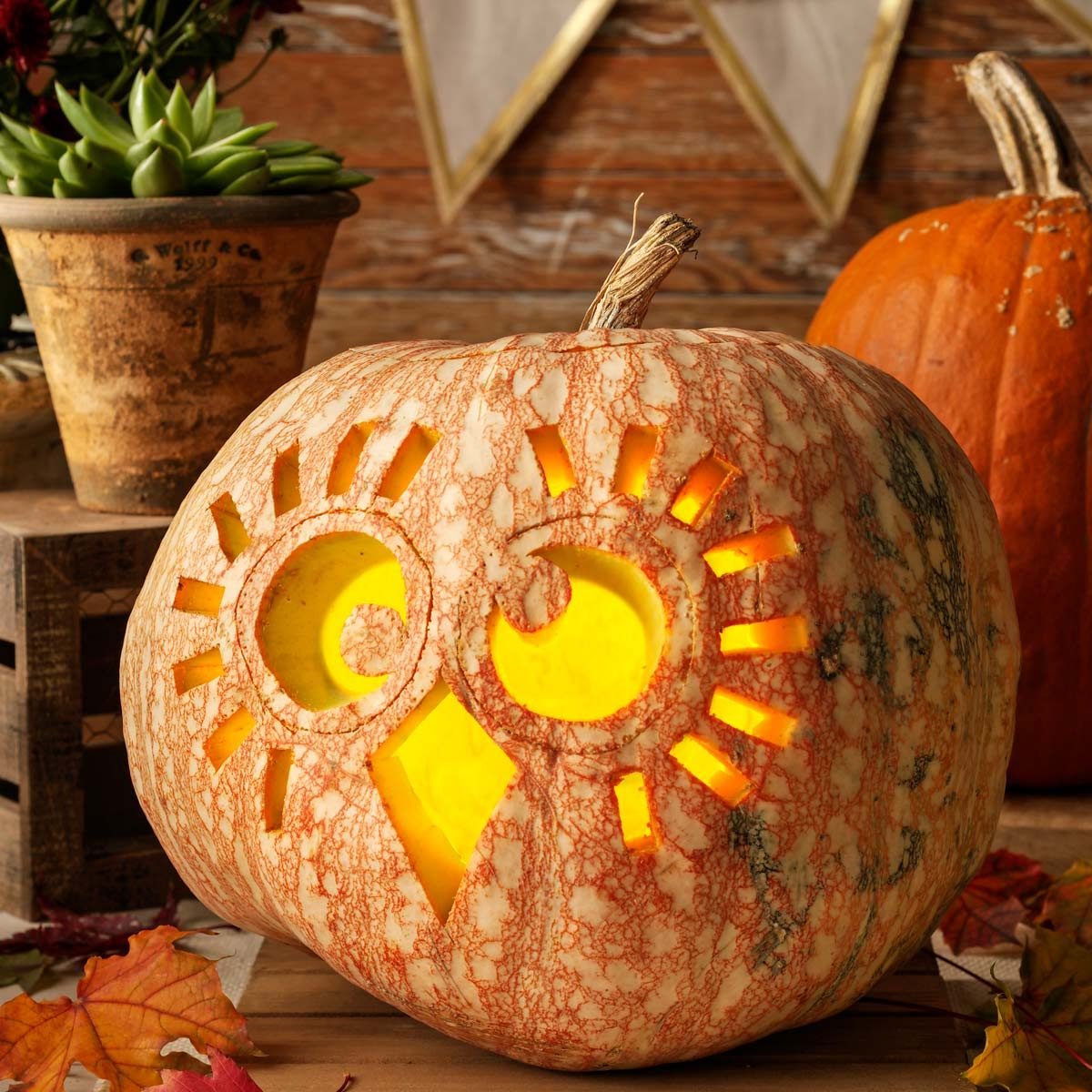 Creative Pumpkin Design Ideas for Halloween