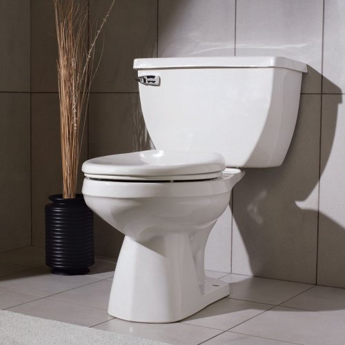 Toilet Repairs