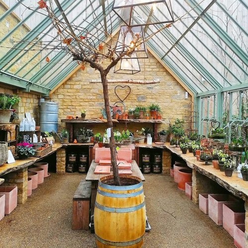 10 Greenhouse Shelving Ideas for Displaying Plants