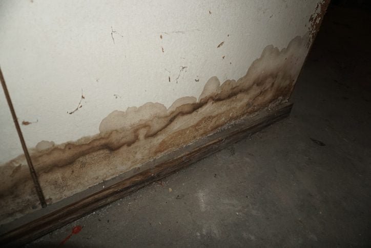 12 Tips for Fixing a Leaky Basement