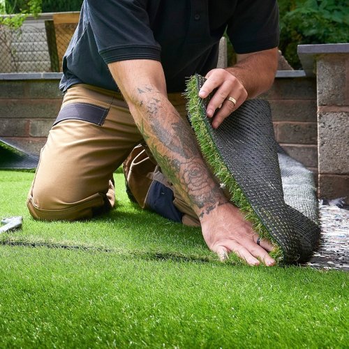 Lawn Grass Alternatives That Save Time, Money and the Environment