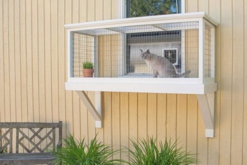 What's a Catio and Why Would I Want One?