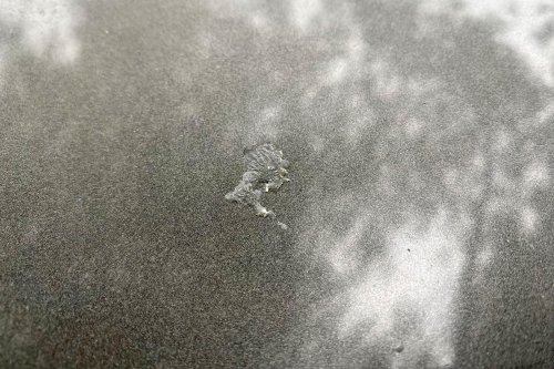 How To Get Tree Sap Off a Car