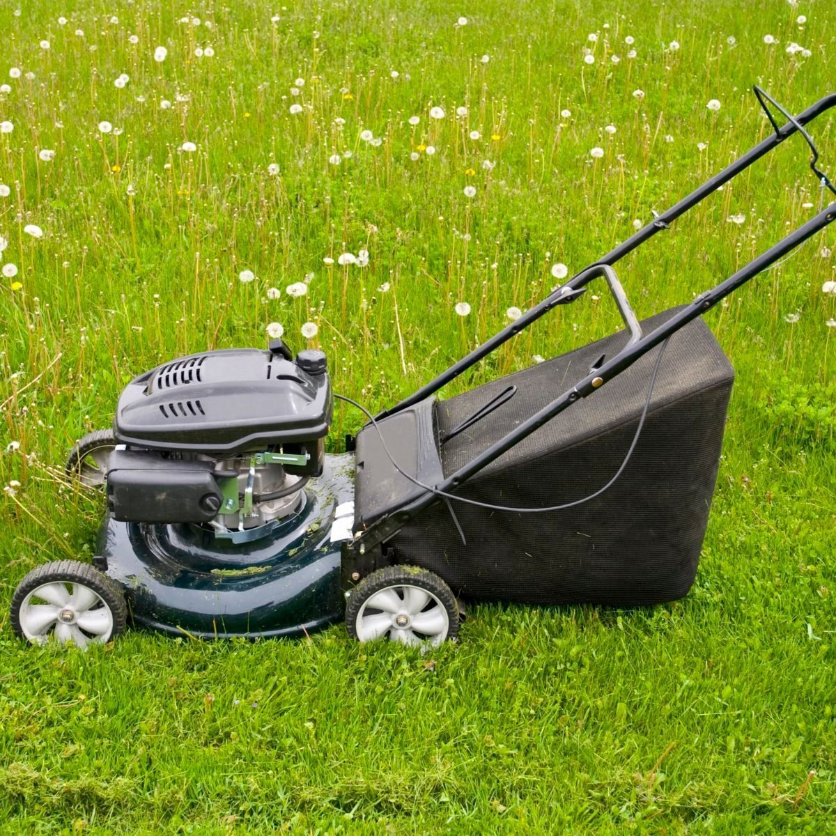 When Should I Stop Mowing My Lawn in the Fall?
