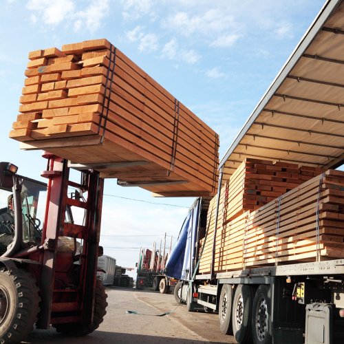 Lumber Prices Fell 67% In Five Months — Here’s Why