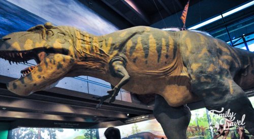 Review of the Boston Museum of Science