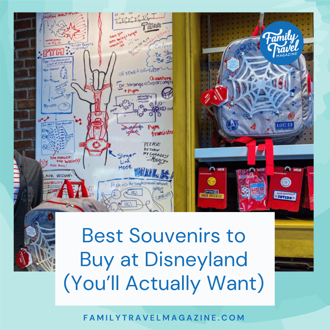 Best Souvenirs to Buy at Disneyland (You’ll Actually Want)