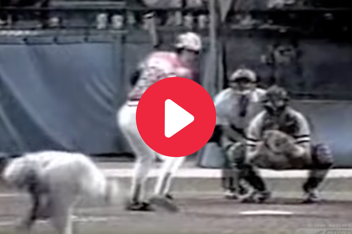 Robin Ventura's 58-Game Hitting Streak is College Baseball's Most Unbreakable Record