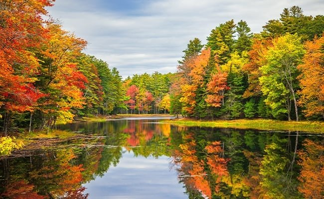 Fall Foliage Peak Dates and Destinations