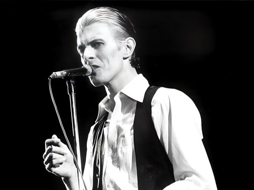 The artist David Bowie called “the token queen of rock”