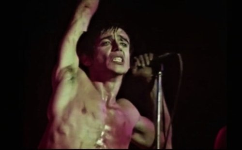 Watch Iggy Pop’s chaotic performance of ‘Lust For Life’ on Dutch TV in 1977