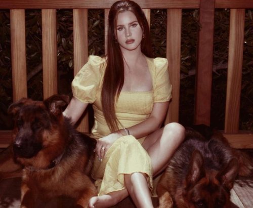 Lana Del Rey, U2, Fleetwood Mac lead Record Store Day's Black Friday releases