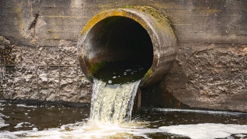 Climate change could be increasing sewage-associated viruses, new study shows