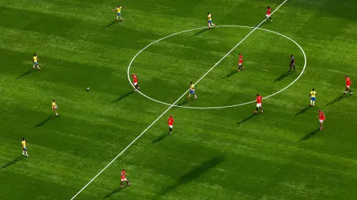FIFA stands to make $11.2 million by selling the World Cup final pitch