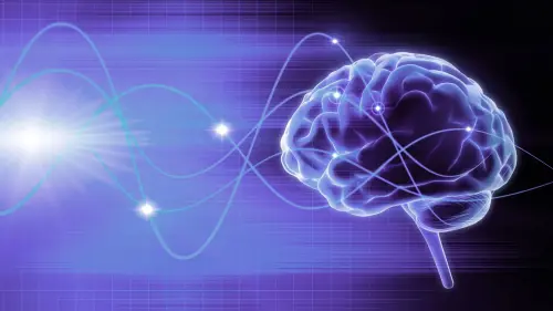 5 facts about the brain to improve your decision-making skills